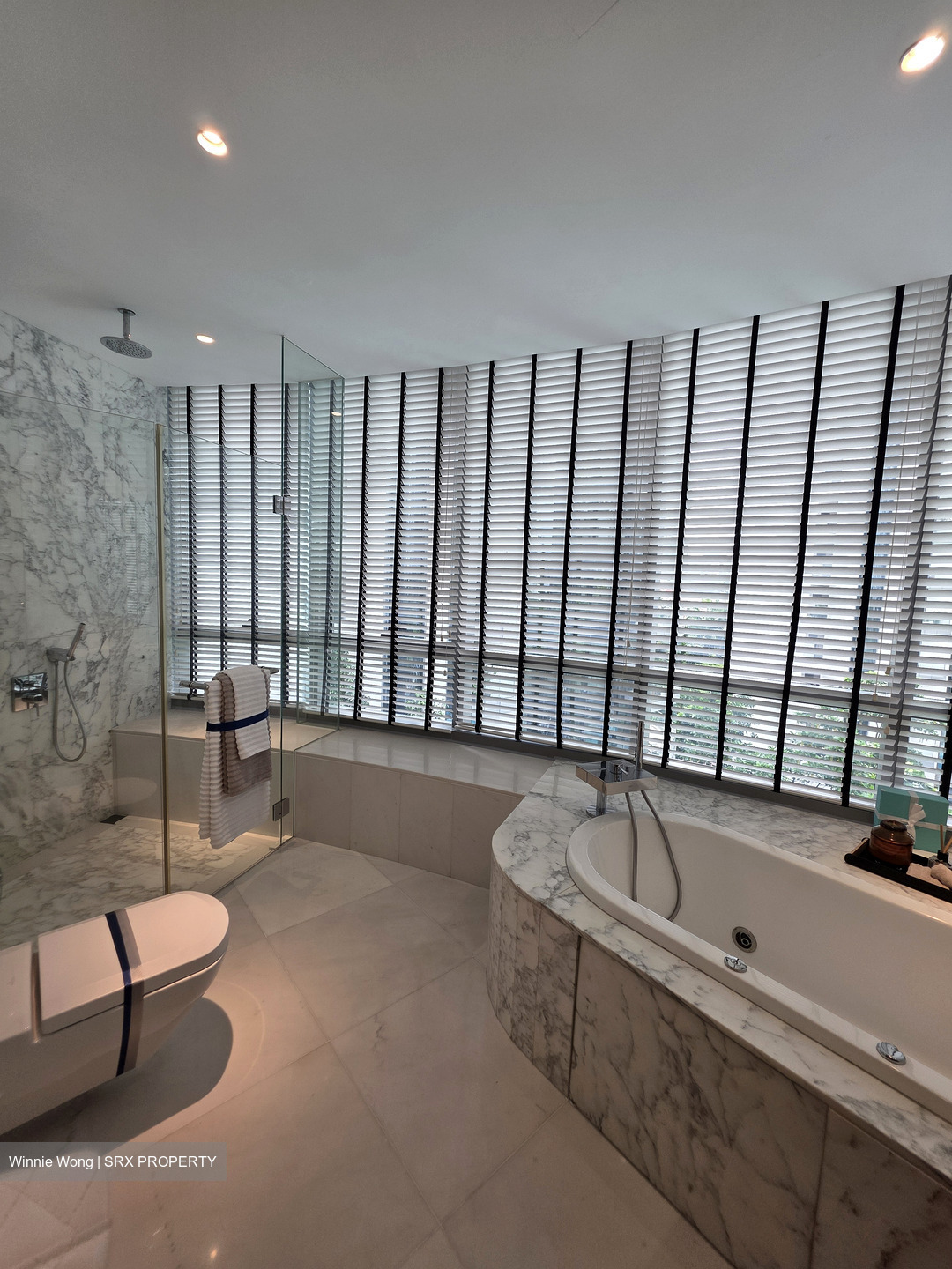 Cliveden At Grange (D10), Condominium #607297101